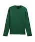 Fan Dark Green