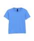 Carolina Blue