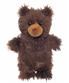 Brown Bear