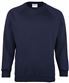 Navy*