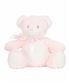 Pink Teddy