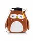 Dark Brown Wise Owl